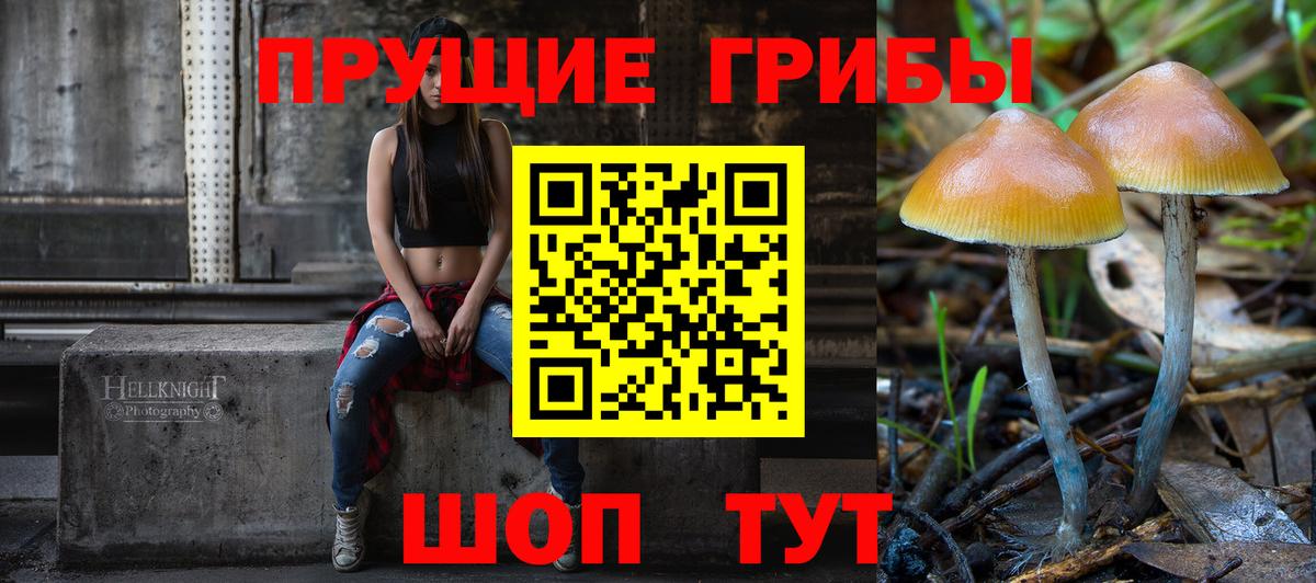 Ленинск-Кузнецкий  Галлюциногенные грибы MAGIC MUSHROOMS  Псилоцибиновые грибы Cubensis  Вход с VPN 